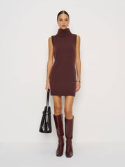 Holland Cashmere Turtleneck Sweater Dress