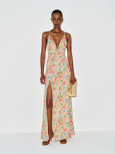 Zani Dress