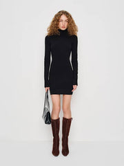 Helly Cashmere Turtleneck Dress